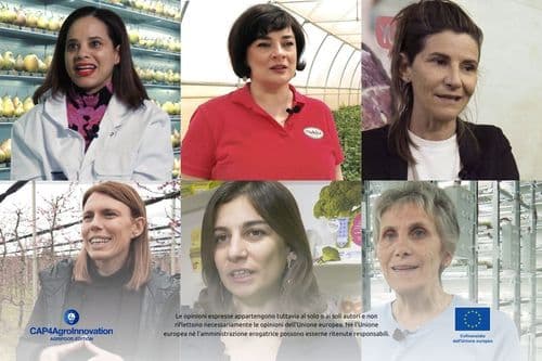 ARTICOLO - Ortofrutta & innovazione: sei video con sei donne protagoniste